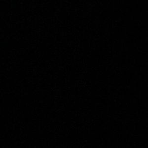 Meet your Posher, Edith